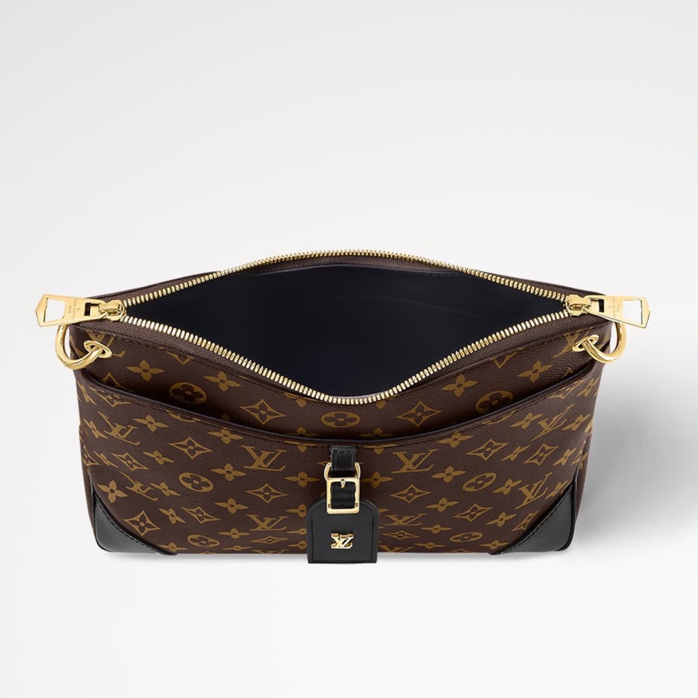 Louis Vuitton Odéon MM Bag - Picture 3 of 11